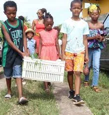 Guadeloupe. Colonialisme. Le Gouverneur déclare le projet d'Ecole Panafricaine de "séparatiste" pour l'interdire