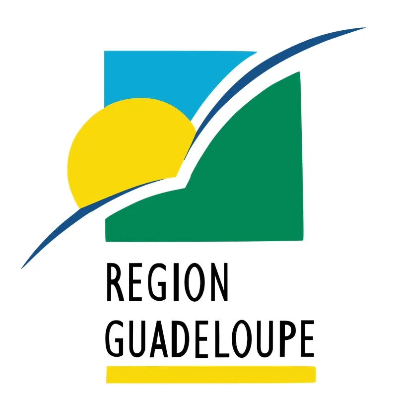 Le président du conseil régional Ary Chalus déplore le black-out que subissent les Guadeloupéens depuis ce vendredi 25 octobre.