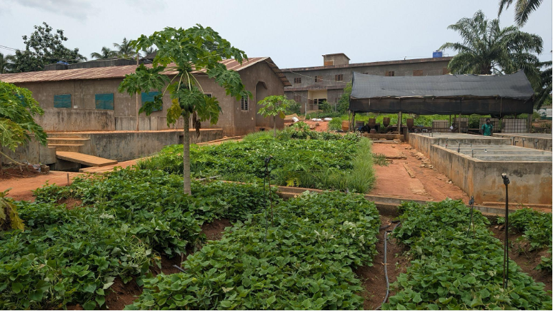 Bénin. Au coeur d’une vibrante mosaïque d’histoires et de cultures