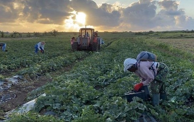 Guadeloupe. Débat. Le statu quo – l’autonomie – l’indépendance ? Ka nou préféré ?