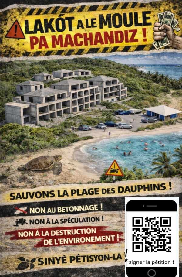 flyer - Vue de la plage Montal au Moule, site du projet immobilier contesté par le collectif Sauvons la Plage des Dauphins
