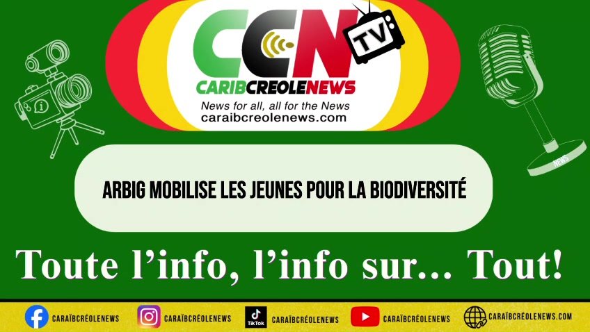 Reportage CCN