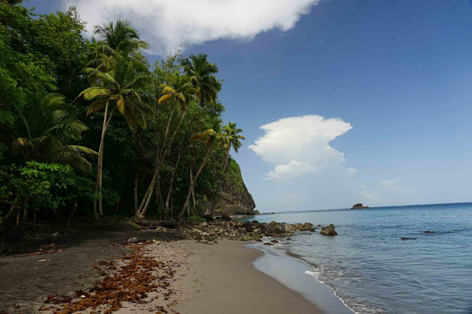 Assainissement en Martinique : station d’épuration et littoral